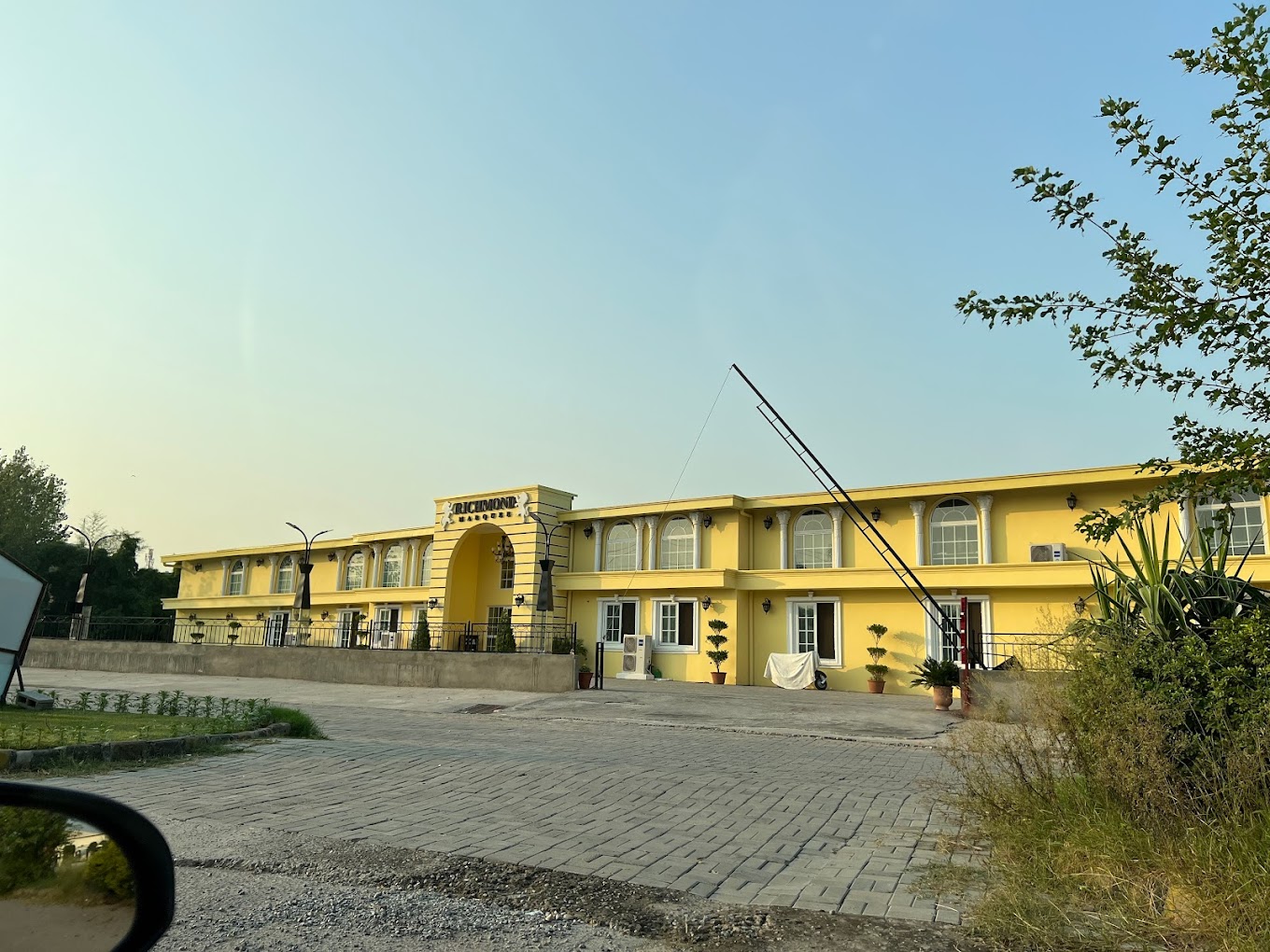 Branch Image